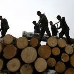 Импортёром древесины в прошлом году стал Китай