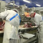 В Северо-Казахстанской области готовятся новые проекты по развитию пищевой промышленности
